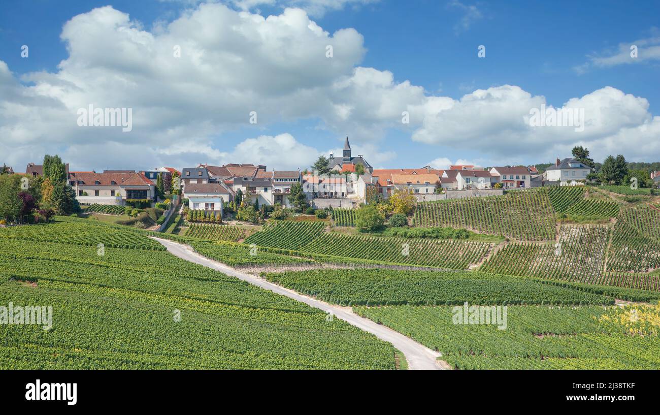 Villaggio del vino di Cramant nella regione Champagne vicino a Epernay, Francia Foto Stock