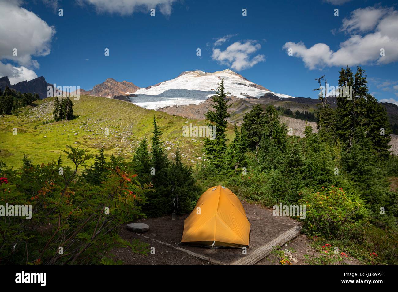 WA21325-00...WASHINGTON - Campeggio alla base del sentiero fino al grado ferroviario nel Mount Baker National Recreation Area. Foto Stock