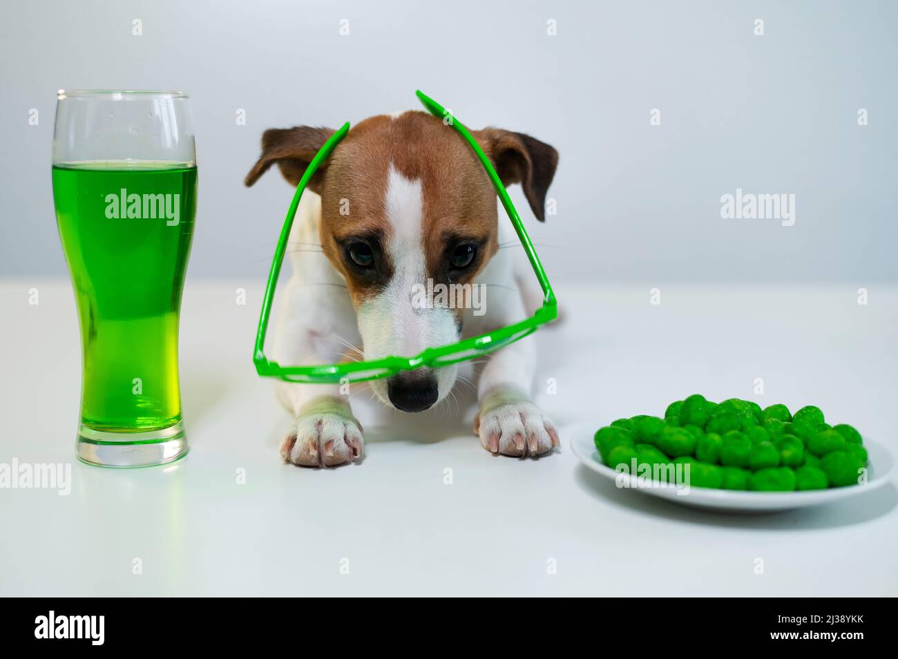 Tazza divertente immagini e fotografie stock ad alta risoluzione - Alamy