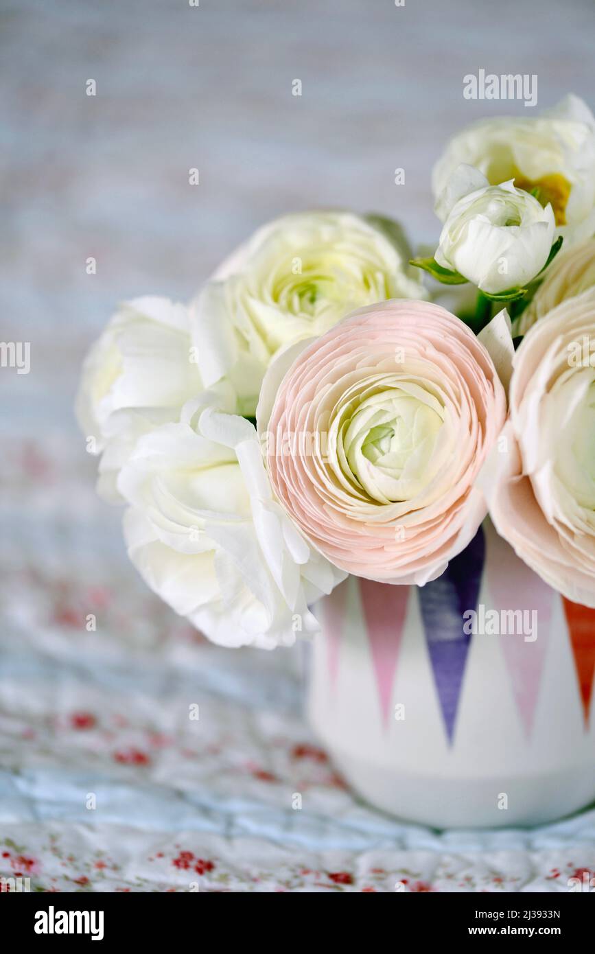 Bellissimo ranunculus rosa e bianco in un vaso moderno. Bel bouquet di fiori rosa in una tazza. Foto Stock