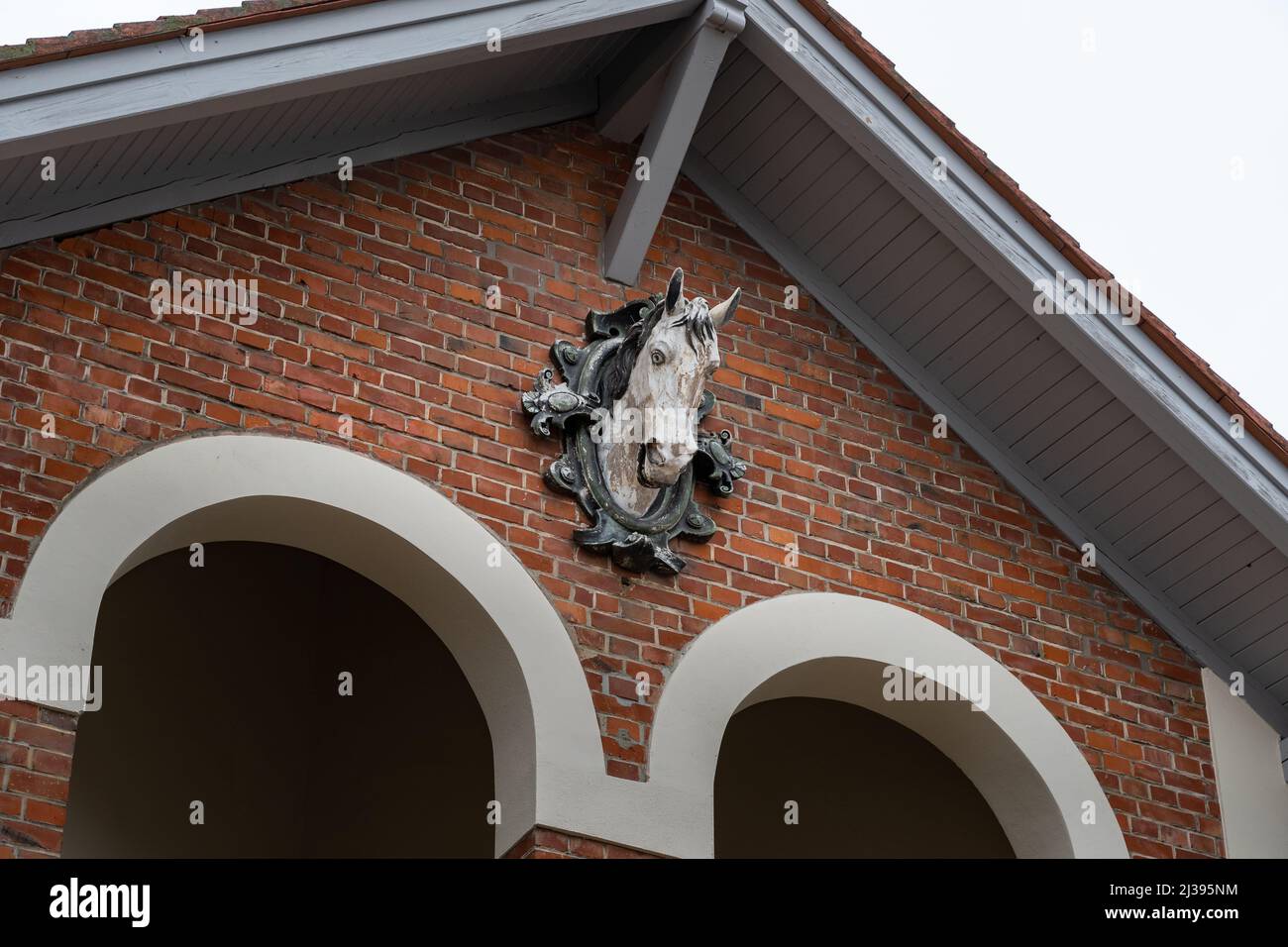 Decorazione su una facciata. La testa di un cavallo in legno si trova all'esterno di un edificio. Caratteristica architettonica con una scultura di un animale. Foto Stock