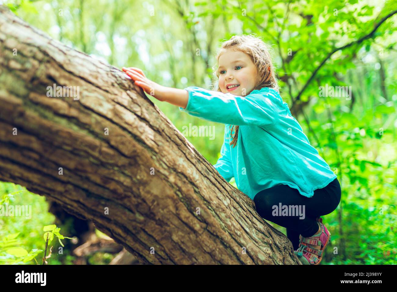 bambina su albero in estate sulla natura bambina Foto Stock