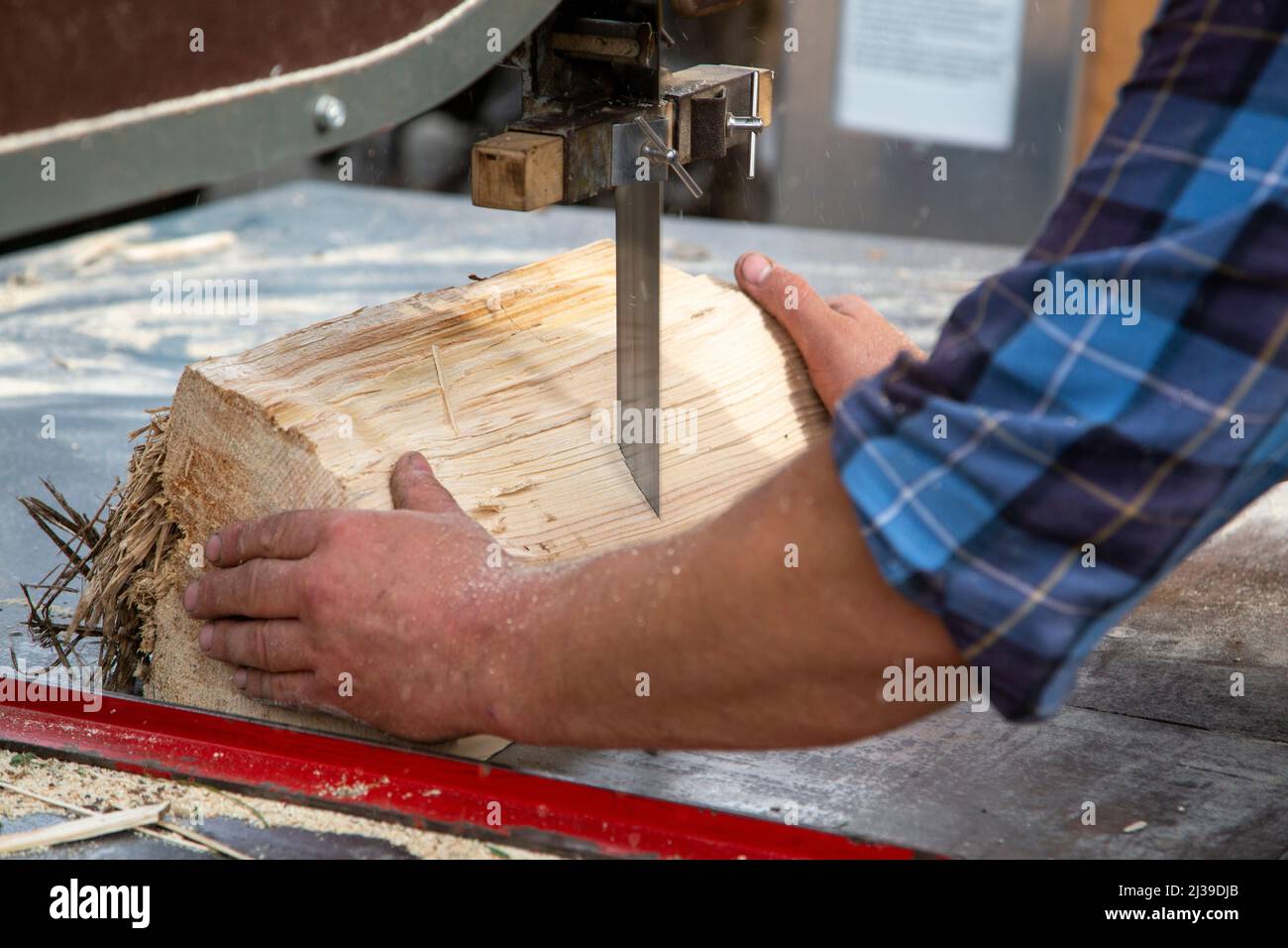 Mani di un lavoratore segare legna da ardere con una sega a nastro industriale Foto Stock