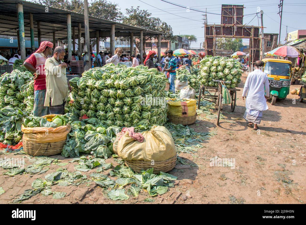 Foto di una capanna rurale a Sud 24 Parganas. Un sacco di cavolfiore è immagazzinato qui. Foto Stock