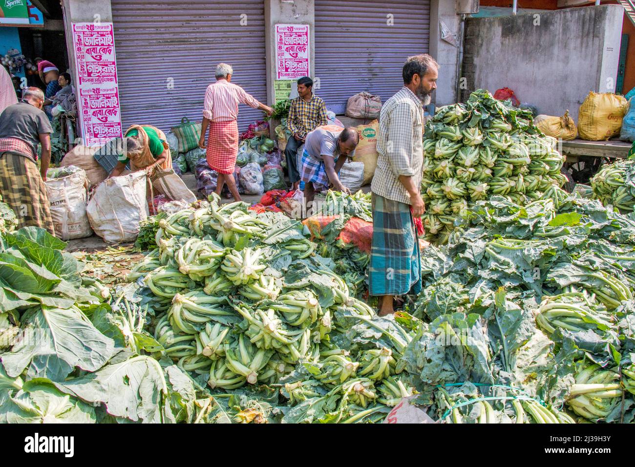 Foto di una capanna rurale a Sud 24 Parganas. Un sacco di cavolfiore è immagazzinato qui. Foto Stock