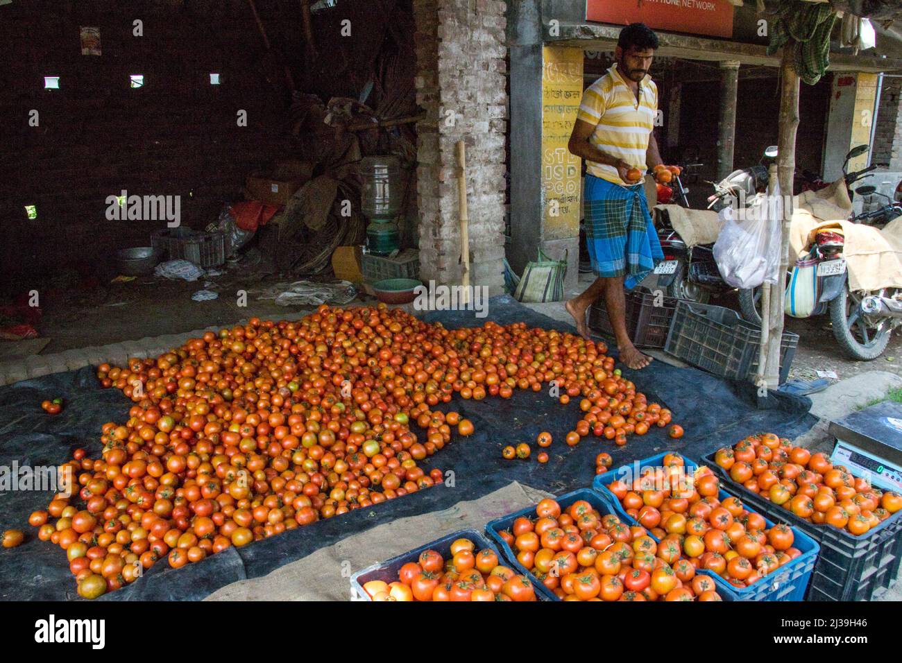 Foto di una capanna rurale a Sud 24 Parganas. I lotti dei pomodori sono immagazzinati qui. Foto Stock