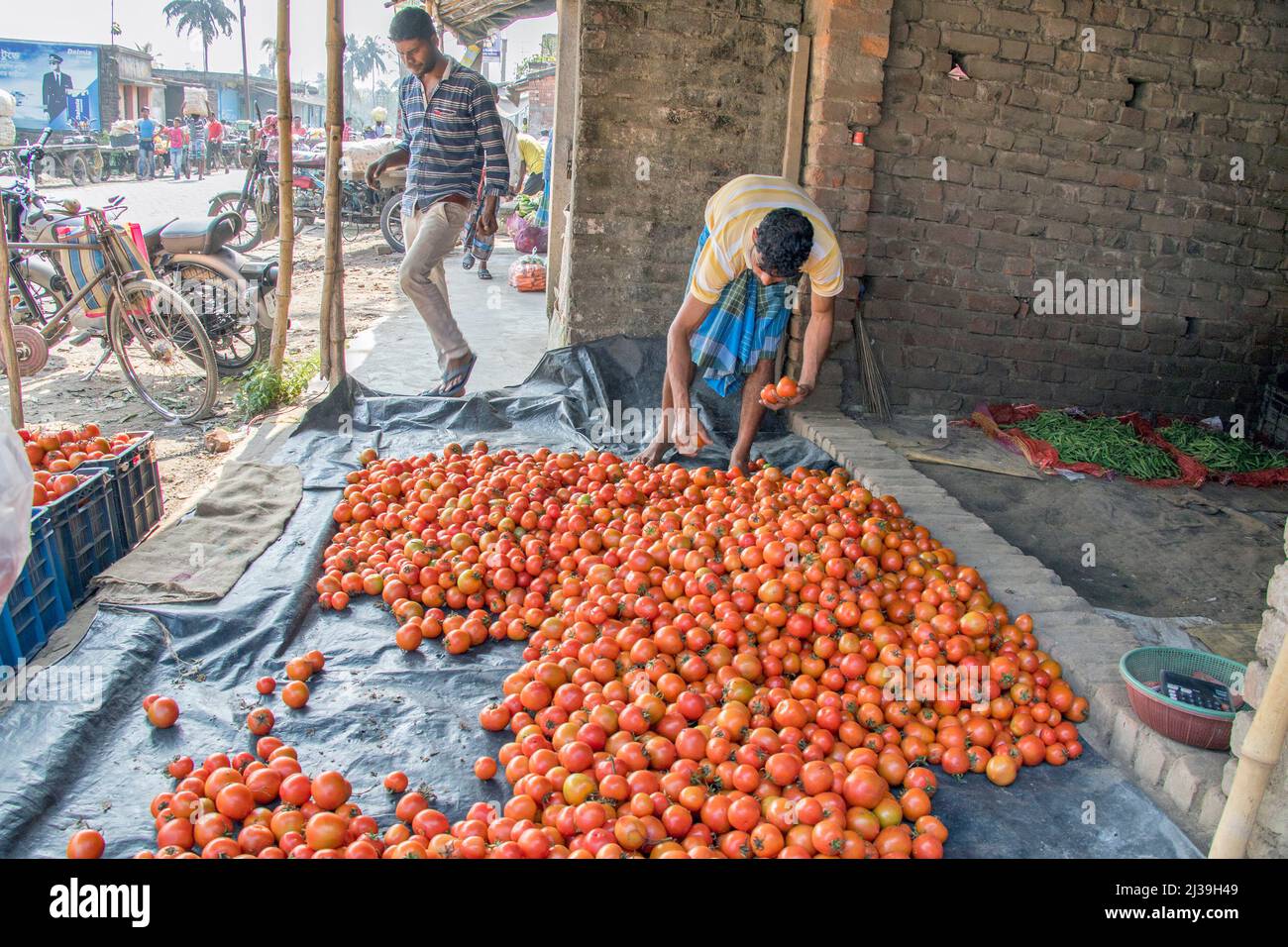 Foto di una capanna rurale a Sud 24 Parganas. I lotti dei pomodori sono immagazzinati qui. Foto Stock