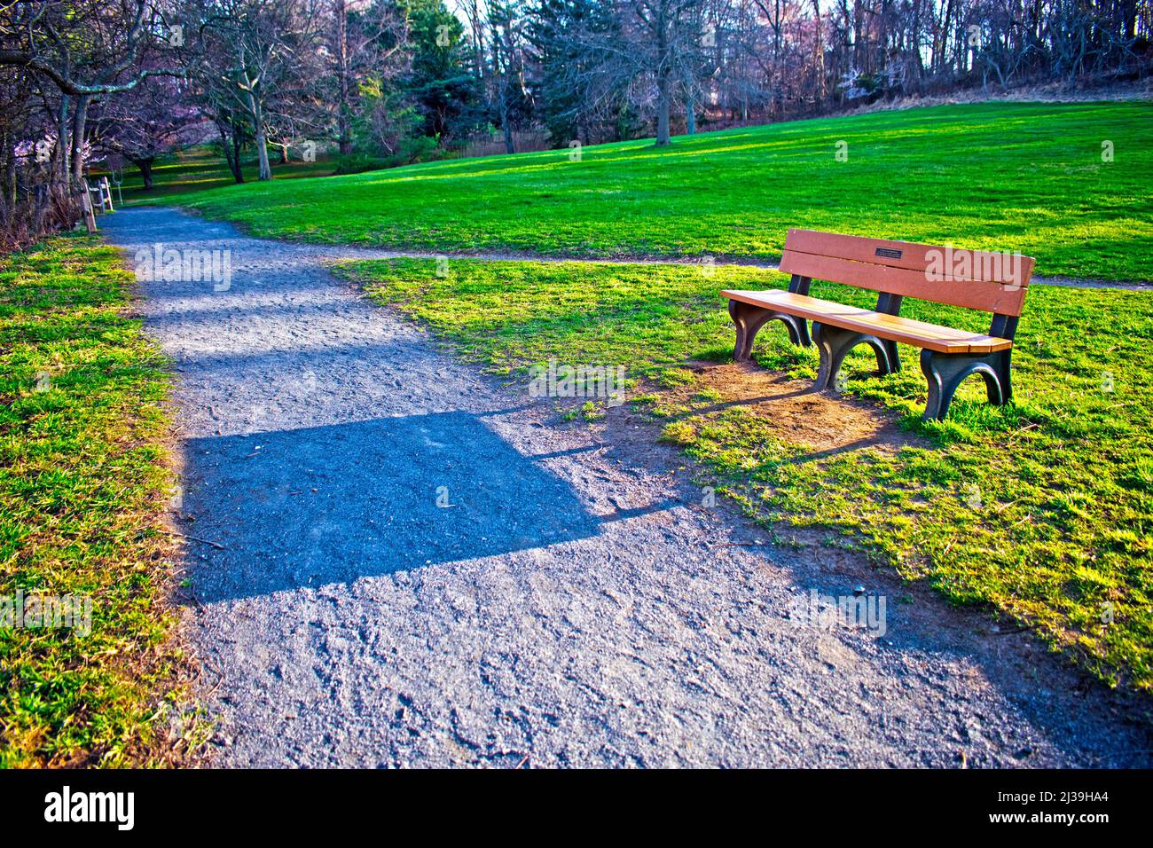 Una panca di legno proietta una lunga ombra nel tardo pomeriggio in una giornata di sole all'inizio della primavera all'Holmdel Park, New Jersey -05 Foto Stock