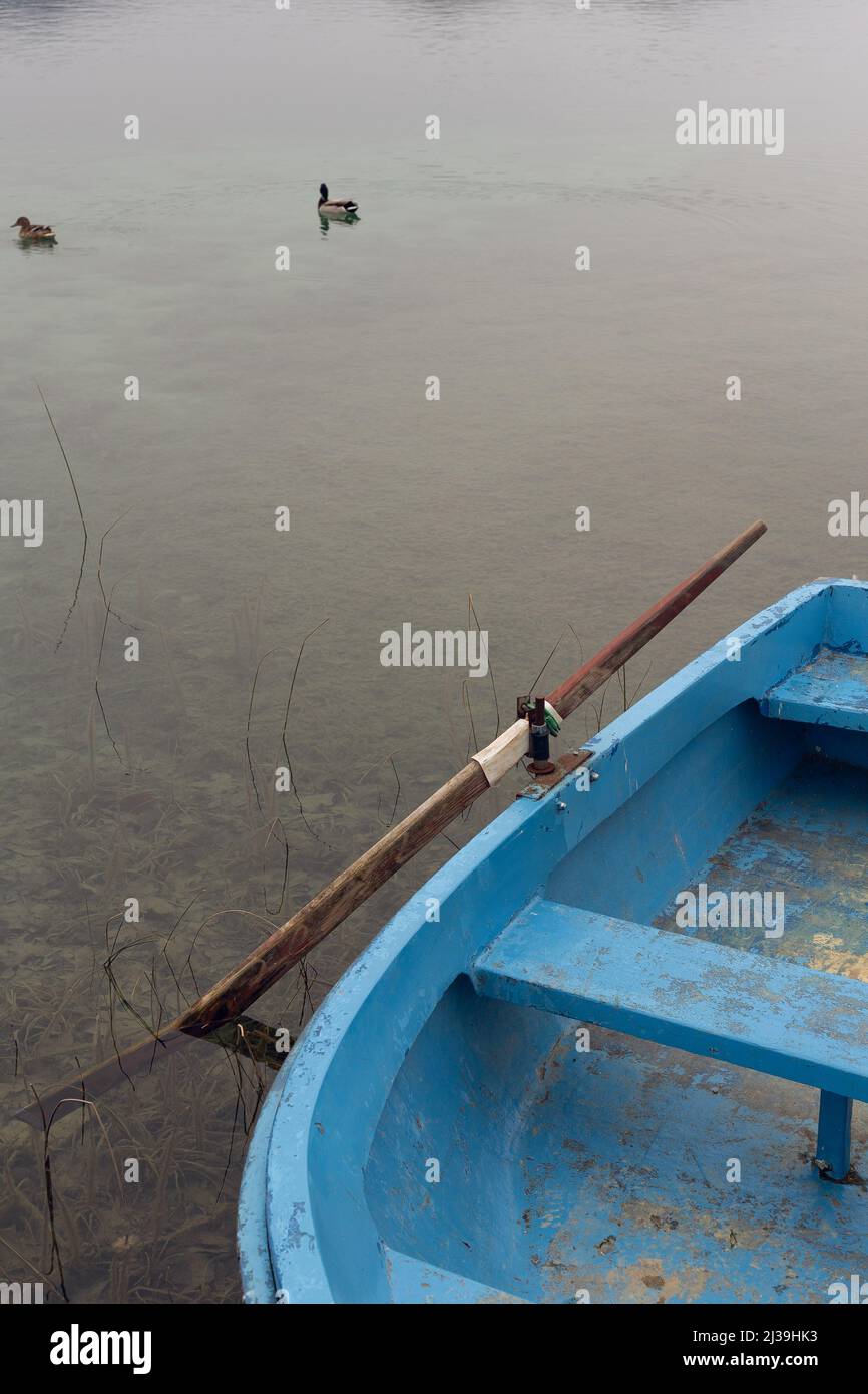 Vecchia barca blu con fila di legno al bordo di un lago d'acqua con alcune anatre che nuotano Foto Stock