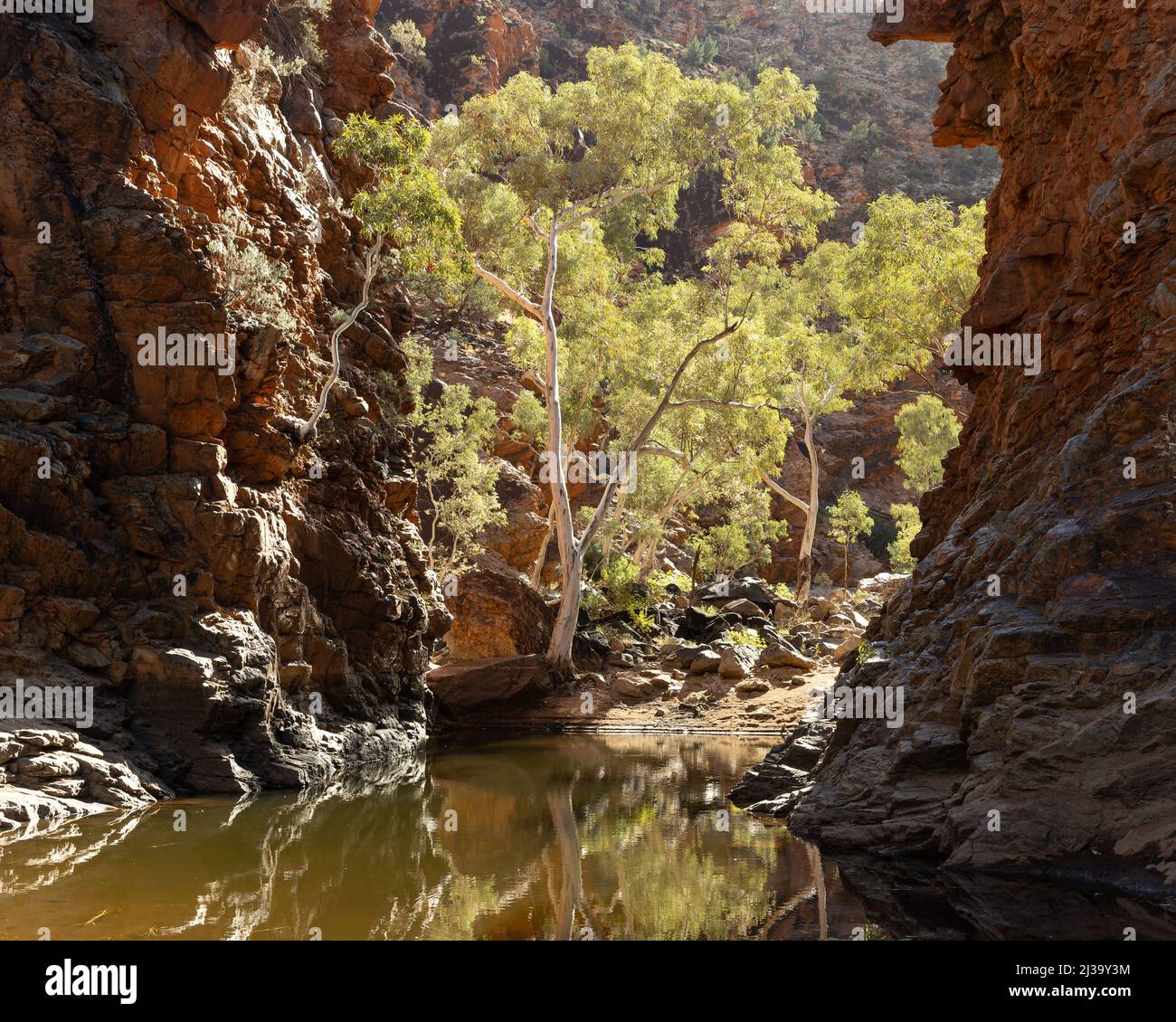 una vista mattutina d'inverno della gola della serpentina in tjoritja - parco nazionale di macdonnell ovest del territorio settentrionale Foto Stock