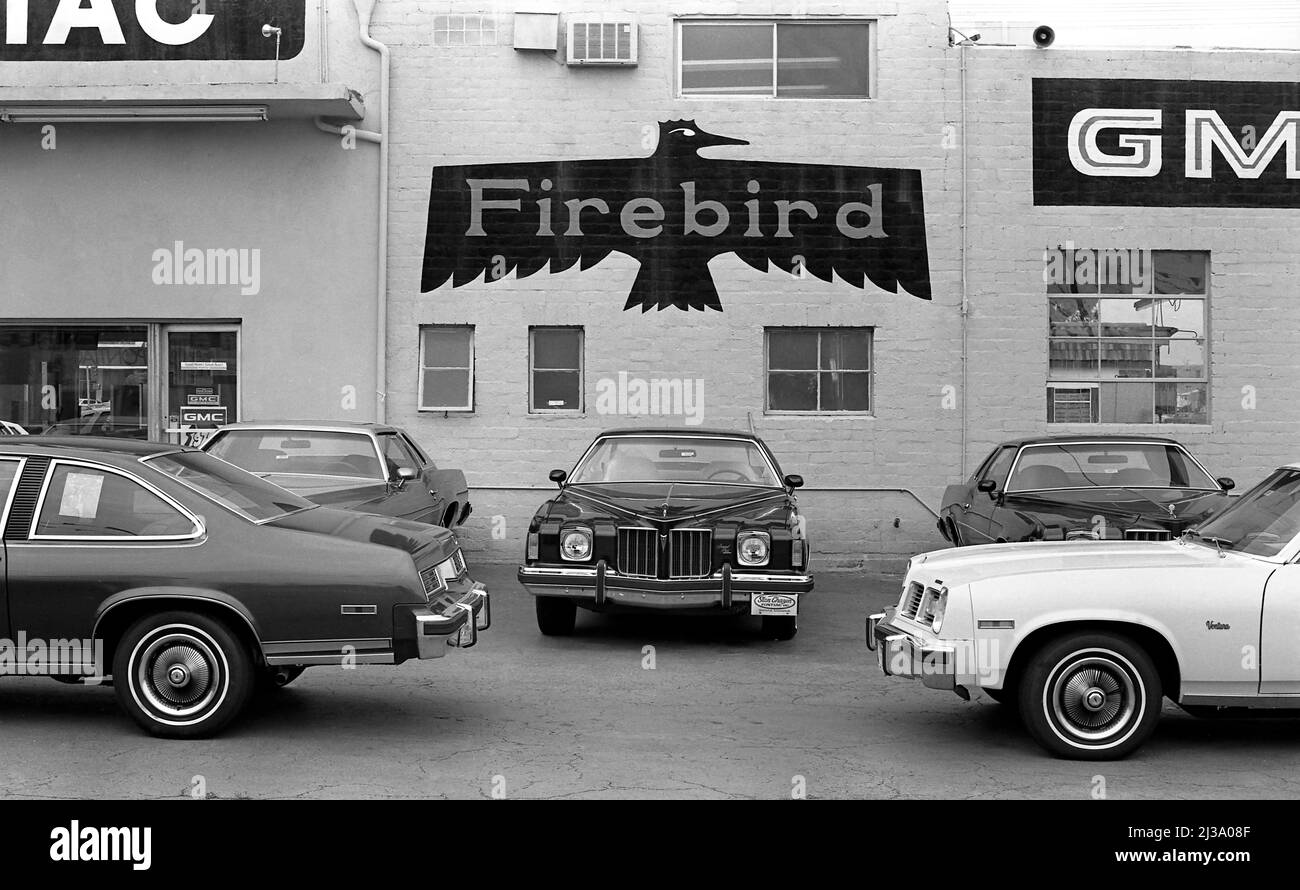 Pontiac Firebird auto presso la concessionaria a Santa Monica, CA, 1975 Foto Stock