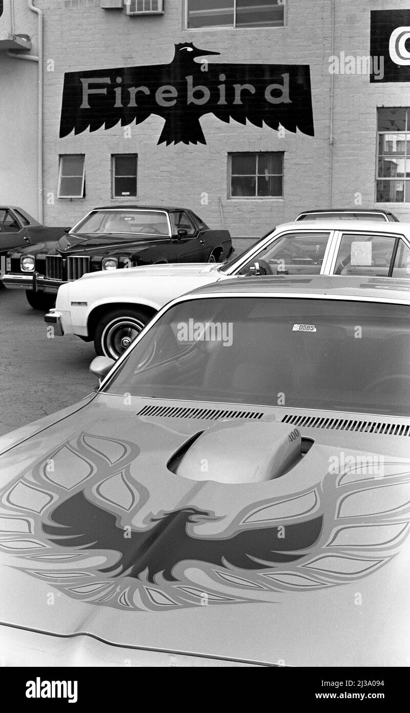 Pontiac Firebird auto presso la concessionaria a Santa Monica, CA, 1975 Foto Stock