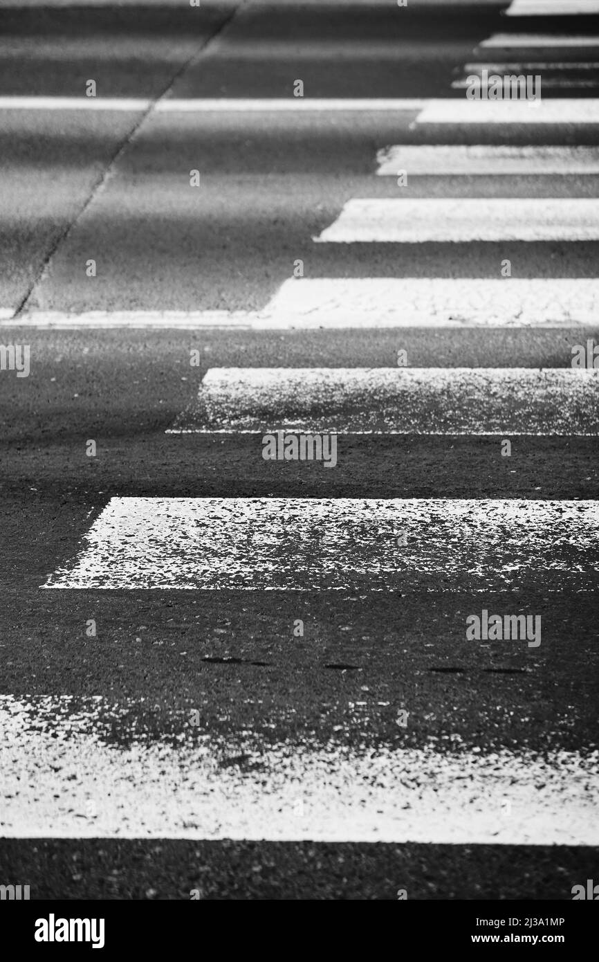 Un angolo verticale della scala di grigi di una zebra cancellata sull'asfalto. Foto Stock
