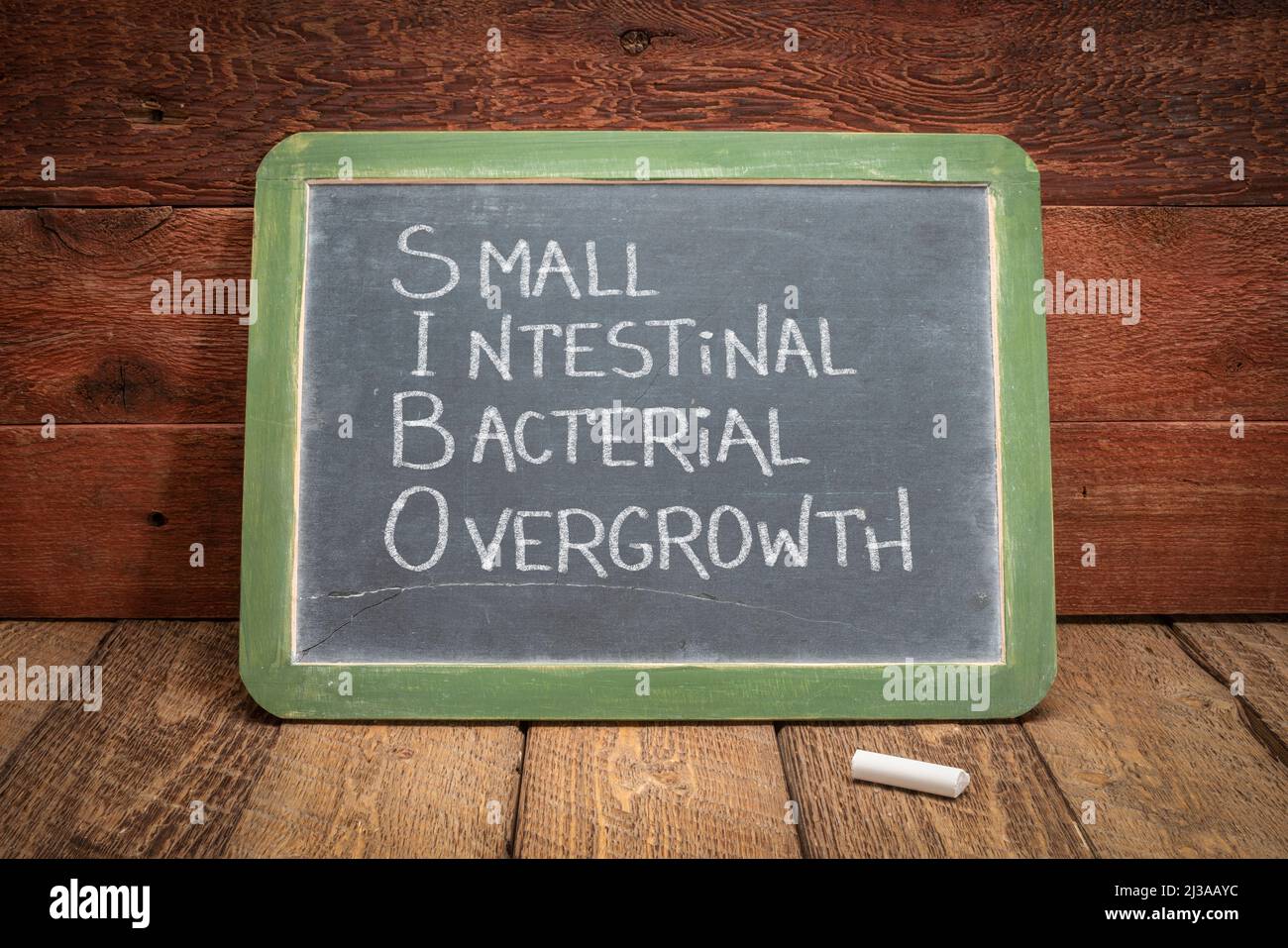 SIBO - piccola crescita batterica intestinale, calligrafia bianca su una lavagna retrò ardesia, concetto di educazione medica Foto Stock