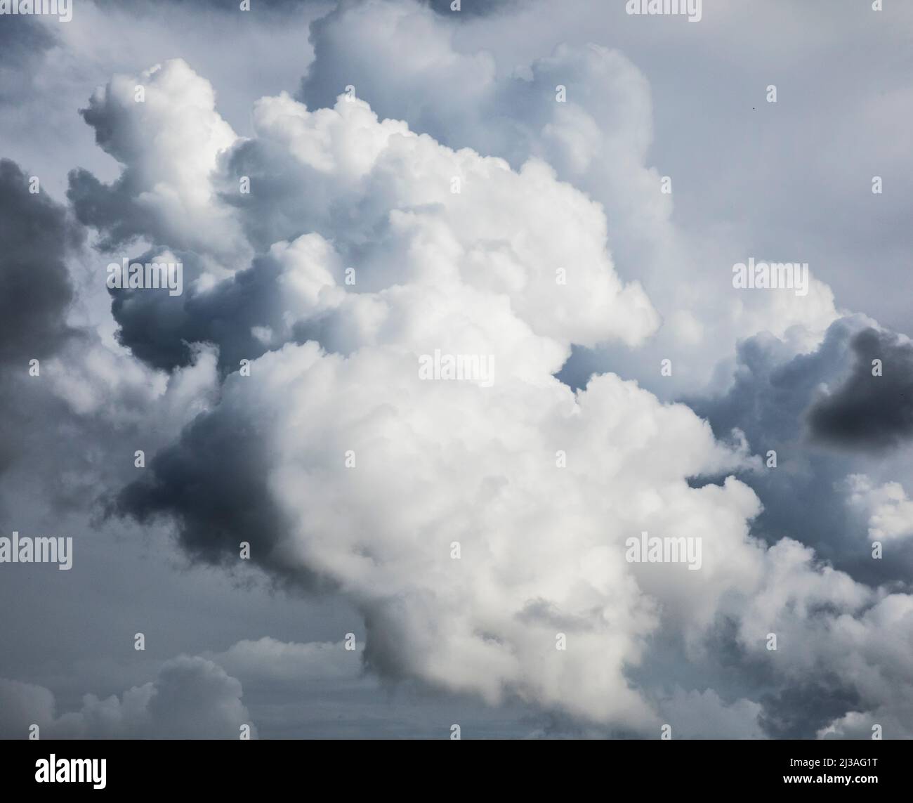 Cloud Portrait - sopra North Carolinas Blue Ridge Mountains vicino Asheville. Foto Stock
