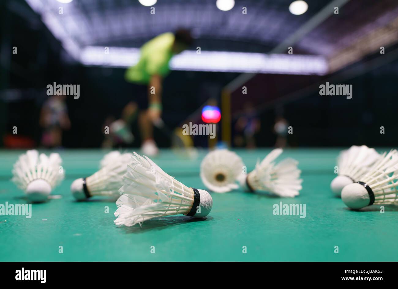 shuttlechock sul campo da gioco di badminton verde con giocatore in background Foto Stock