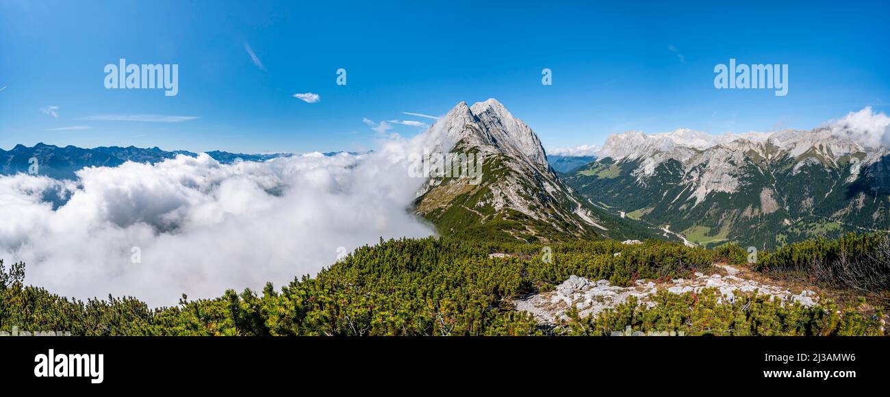 Vista lungo la cresta del Mieminger Kette con cima Karkopf e Hochwand, sentiero escursionistico tra pini di montagna, attraversando il Hohe Munde, Panorama Foto Stock