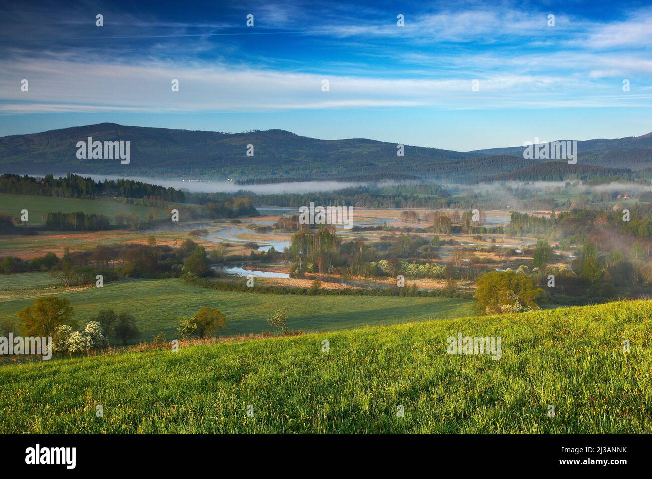 Paesaggio tipico intorno al fiume Moldava vicino al serbatoio di Lipno, al parco nazionale di Sumava, Repubblica Ceca. Verde nebbia foresta con meandro fiume. Torba posto Foto Stock