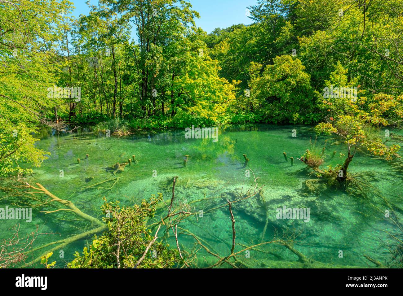 Il lago Milino Jezero del Parco Nazionale dei Laghi di Plitvice in Croazia, nella regione di Lika. Patrimonio mondiale dell'UNESCO della Croazia di nome Plitvicka Jezera. Foto Stock