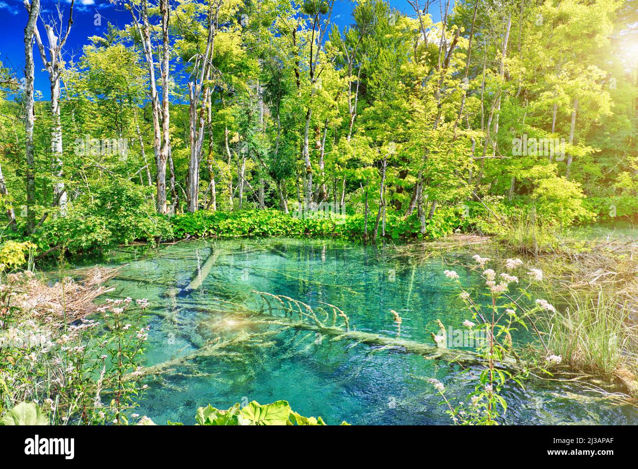 Il sole sul lago Gradinsko jezero si riflette nel Parco Nazionale dei Laghi di Plitvice in Croazia nella regione di Lika. Sito patrimonio dell'umanità dell'UNESCO. Foto Stock