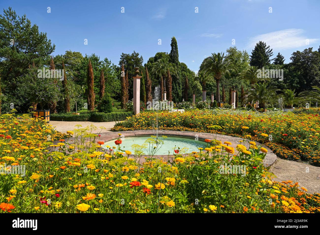 Fontana, Palm Garden nel giardino termale, Bad Pyrmont, bassa Sassonia, Germania Foto Stock