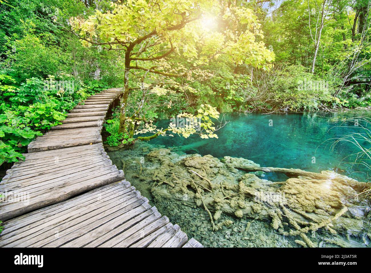 Sole sul ponte in legno del molo di Milino Jezero leke del Parco Nazionale dei Laghi di Plitvice in Croazia nella regione di Lika. Patrimonio mondiale dell'UNESCO di Foto Stock
