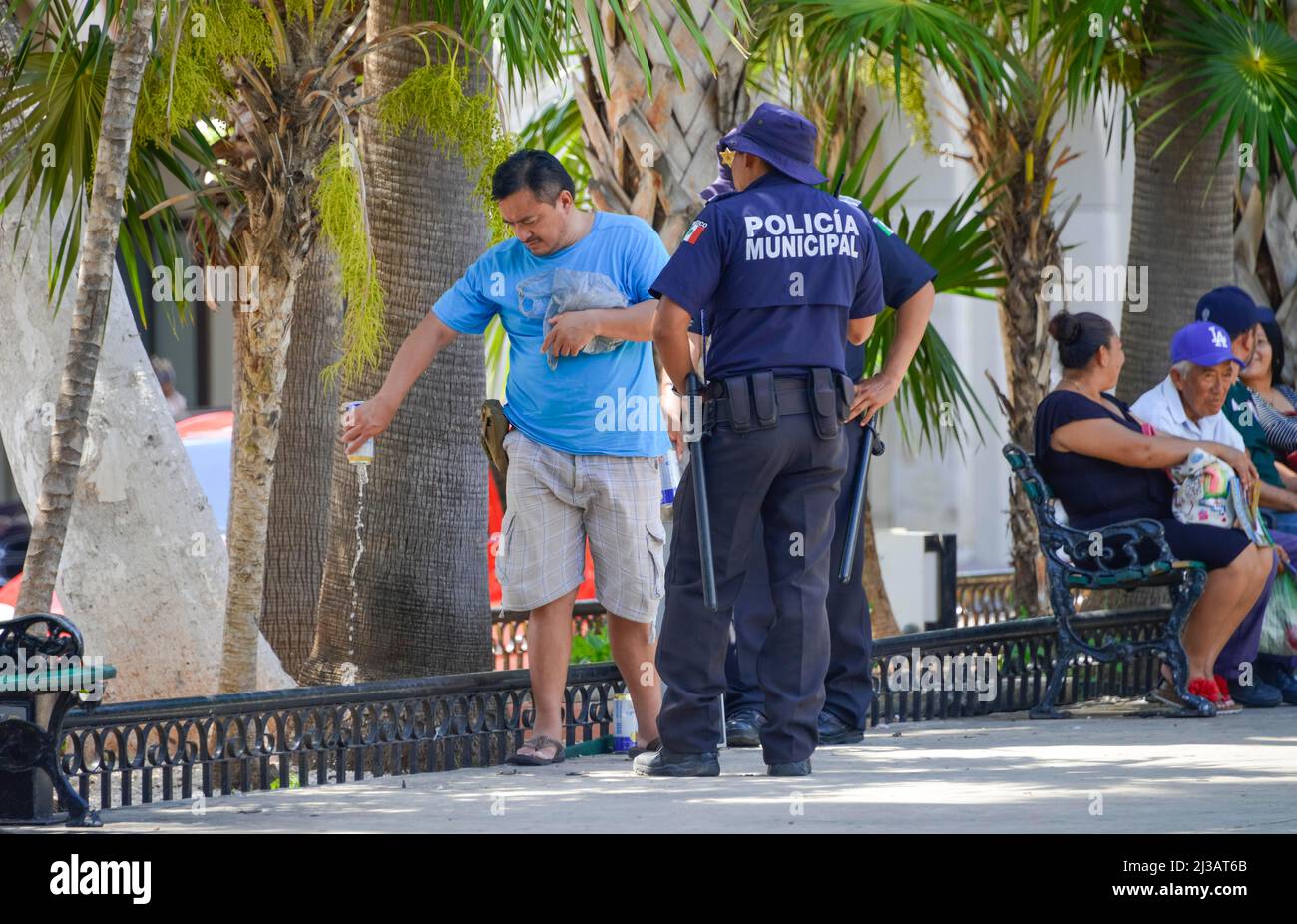 Polizia controllo alcool, birra, Plaza de la Independencia, Merida, Yucatan, Messico, Merida, Yucatan, Messico Foto Stock