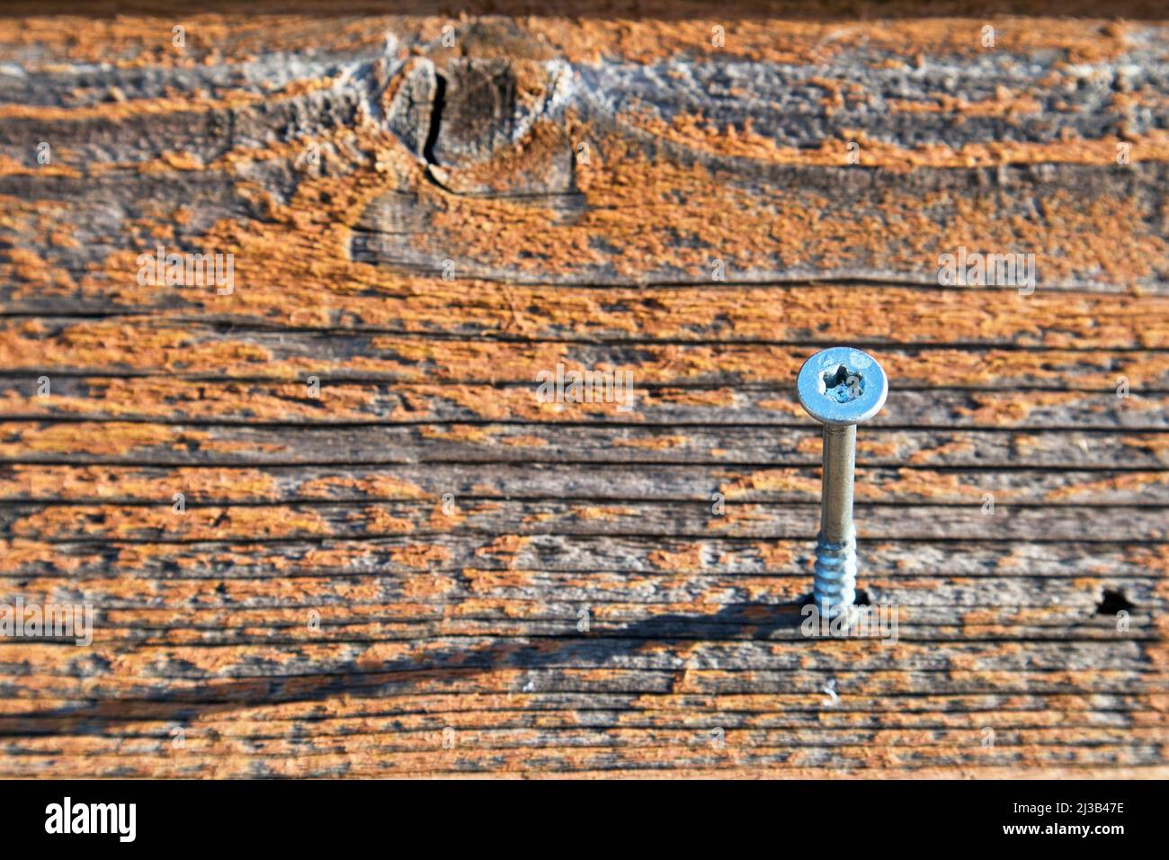 Vite Torx in metallo su vecchie pareti in legno intemperie all'aperto Foto Stock