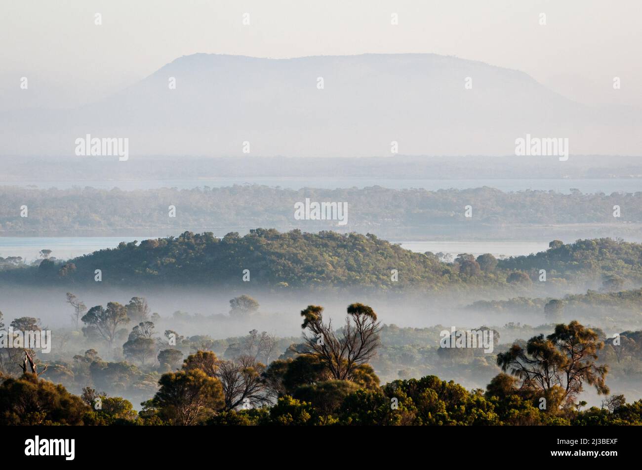 Mattina nebbia sopra Coffin Bay nascondere il Monte Dutton sullo sfondo. Foto Stock