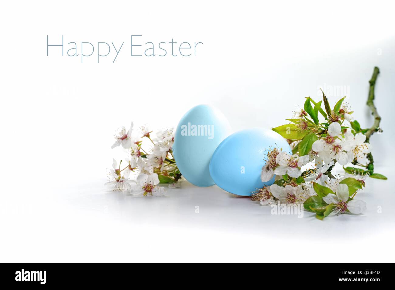 Due uova blu e un ramo di fiori selvatici su sfondo bianco, testo buona Pasqua, biglietto d'auguri vacanza stagionale, spazio copia, fuoco selezionato, narro Foto Stock