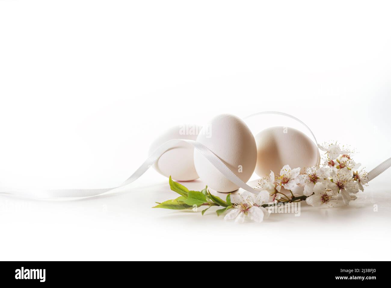 Tre uova bianche per Pasqua, un nastro e con un ramo di fiori di ciliegia selvaggia su sfondo chiaro con spazio copia, biglietto di auguri vacanza, selezionato Foto Stock