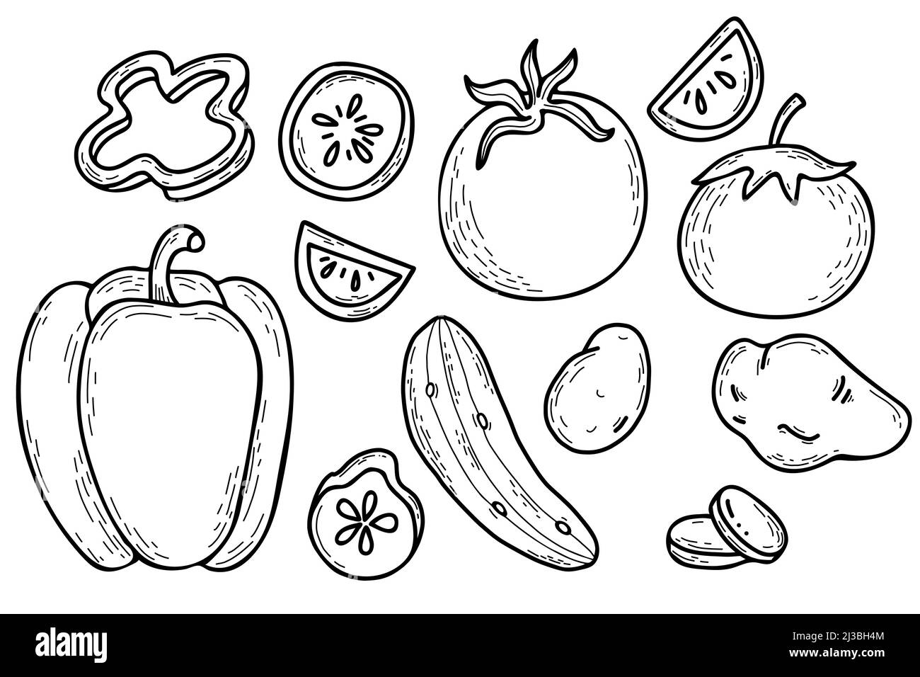 Set di verdure vettoriali disegnate a mano. Patate, peperoni, cetrioli e pomodori. Verdure intere e pezzi tagliati. Illustrazione vettoriale. Disegno lineare a mano Illustrazione Vettoriale