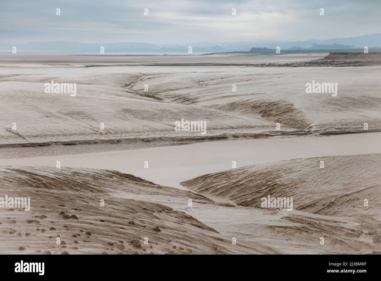 Fangosi dell'estuario del fiume Severn. Foto Stock