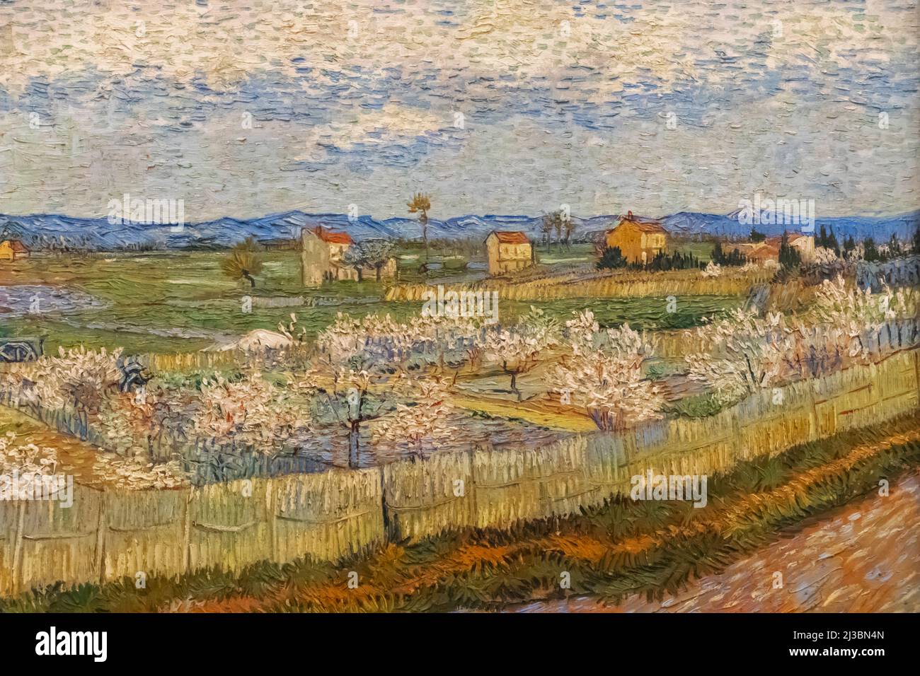 Dipinto intitolato 'Peach Trees in Blossom' di Vincent van Gogh datato 1889 Foto Stock