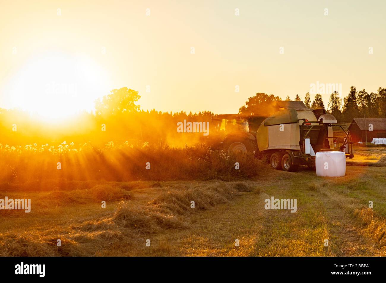 Mietitrebbia in azienda Foto Stock