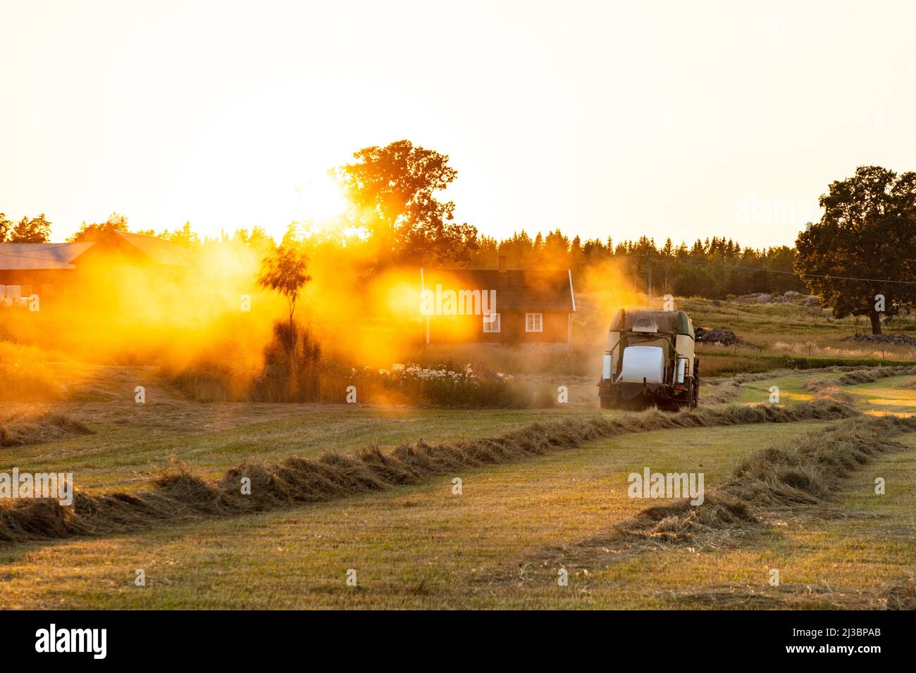 Mietitrebbia in azienda Foto Stock