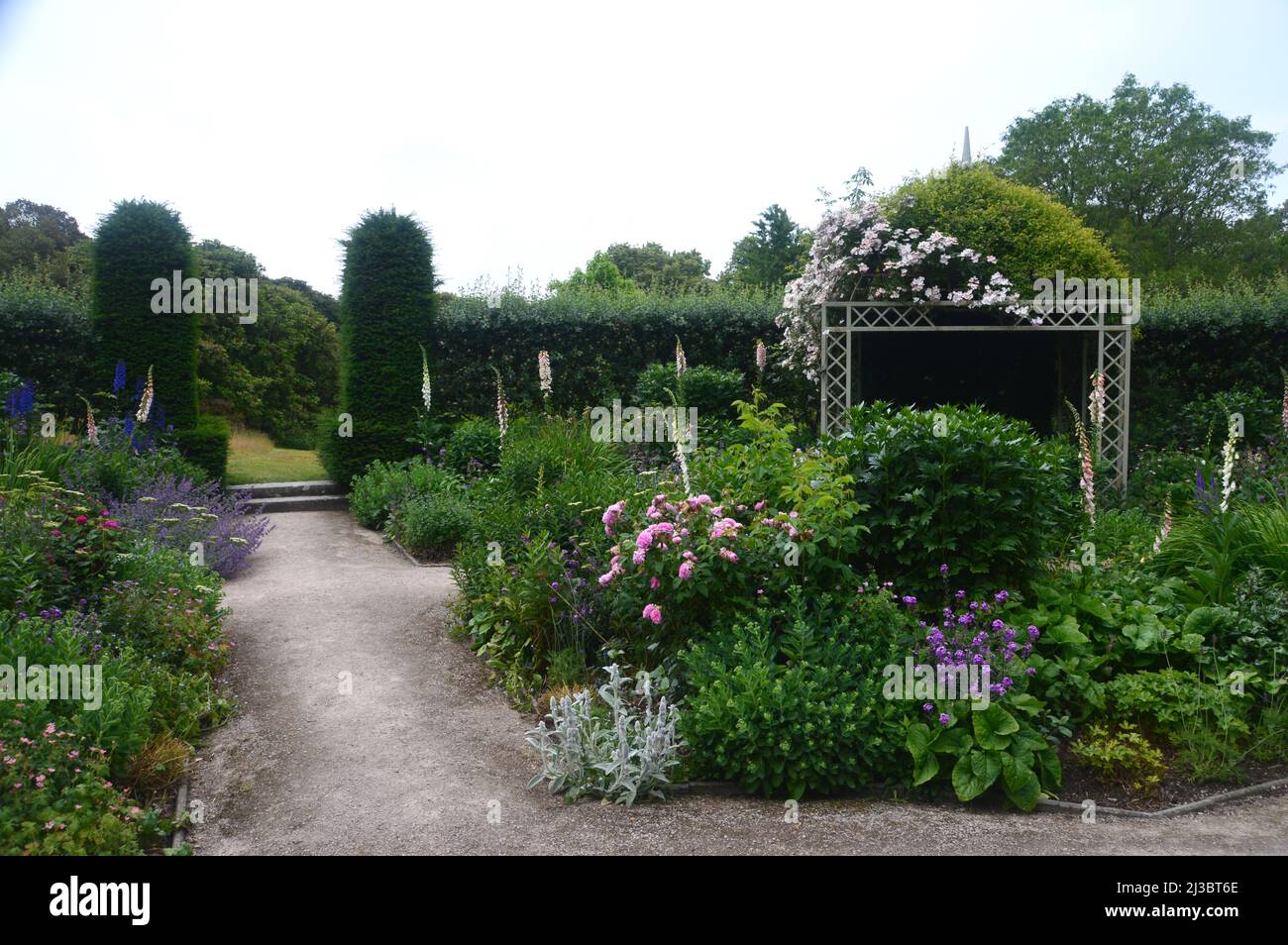 Il Flower Borders nel Giardino d'Estate a Holker Hall & Gardens, Lake District, Cumbria, Inghilterra, Regno Unito. Foto Stock