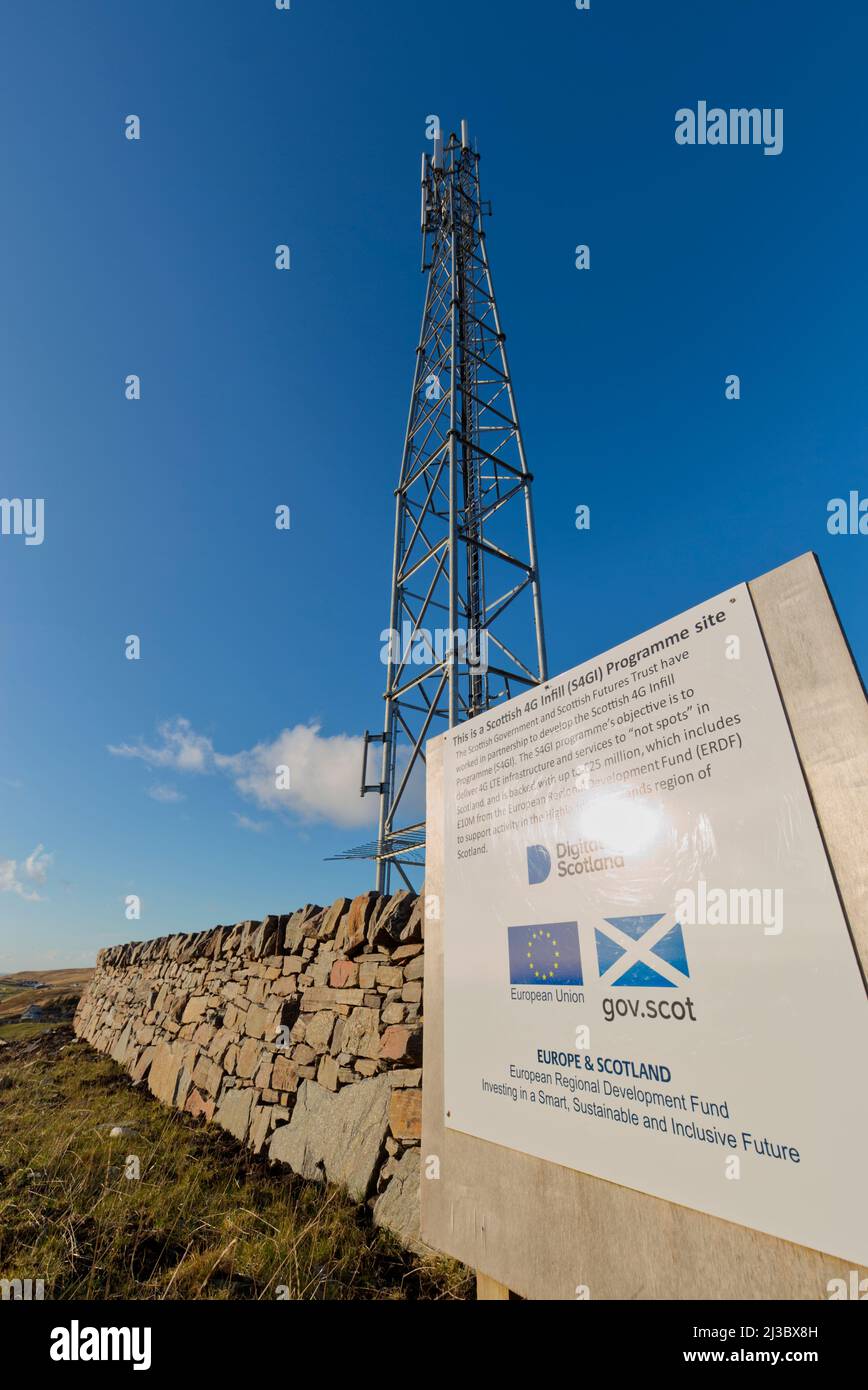 Albero di Infill scozzese 4G, Sutherland, Highland Scozia Foto Stock