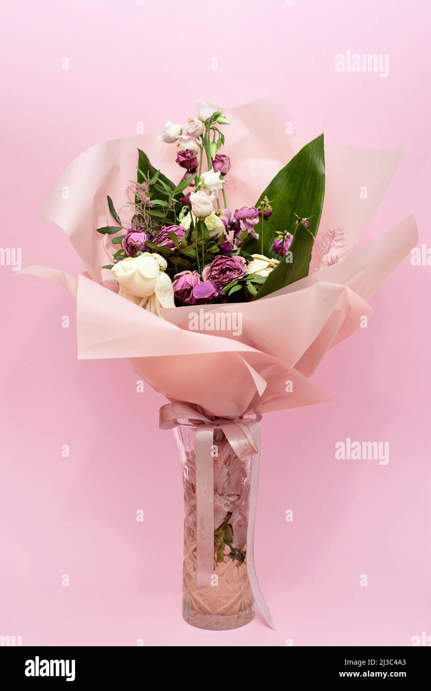 vaso di fiori morenti su sfondo rosa Foto Stock