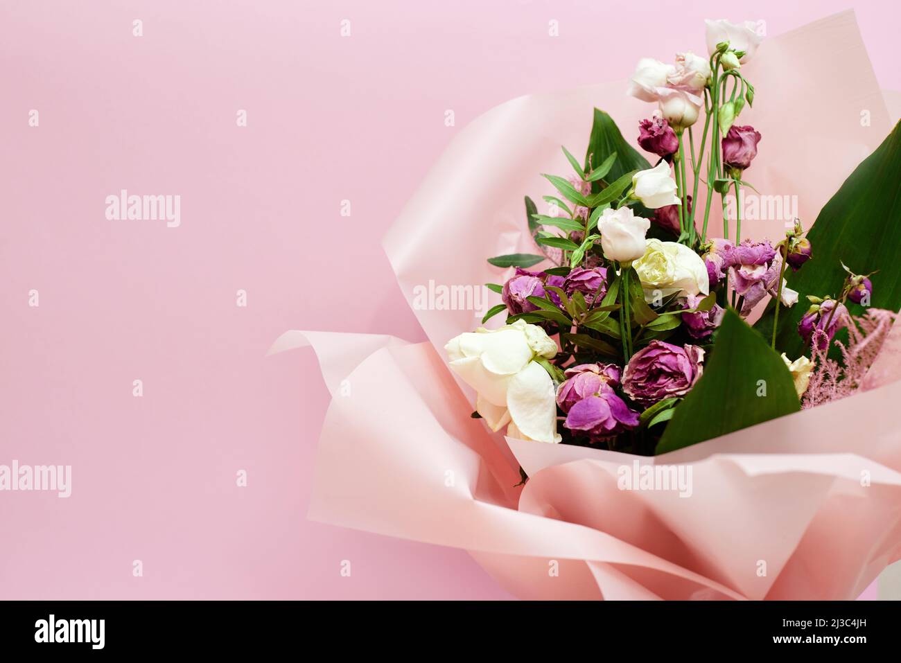 bouquet di fiori morenti su sfondo rosa Foto Stock