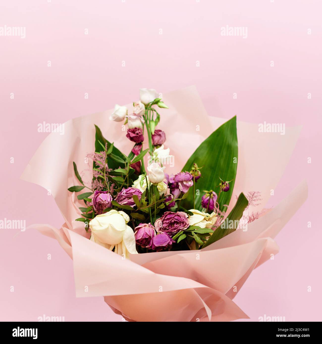 bouquet di fiori morenti su sfondo rosa Foto Stock