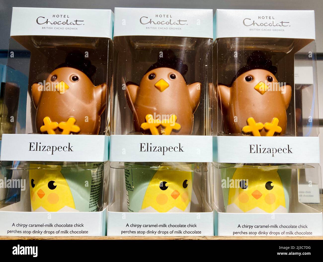 Hotel Chocolat cioccolato di Pasqua di lusso Elizapeck. Foto Stock