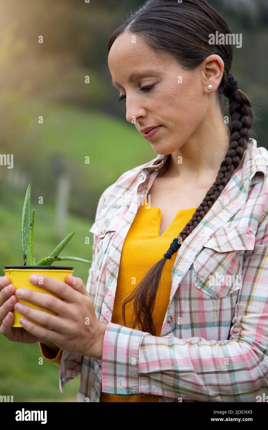 ritratto di una donna che guarda la pianta di aloe vera che tiene nelle sue mani in un vaso giallo fiore. Giardinaggio Foto Stock