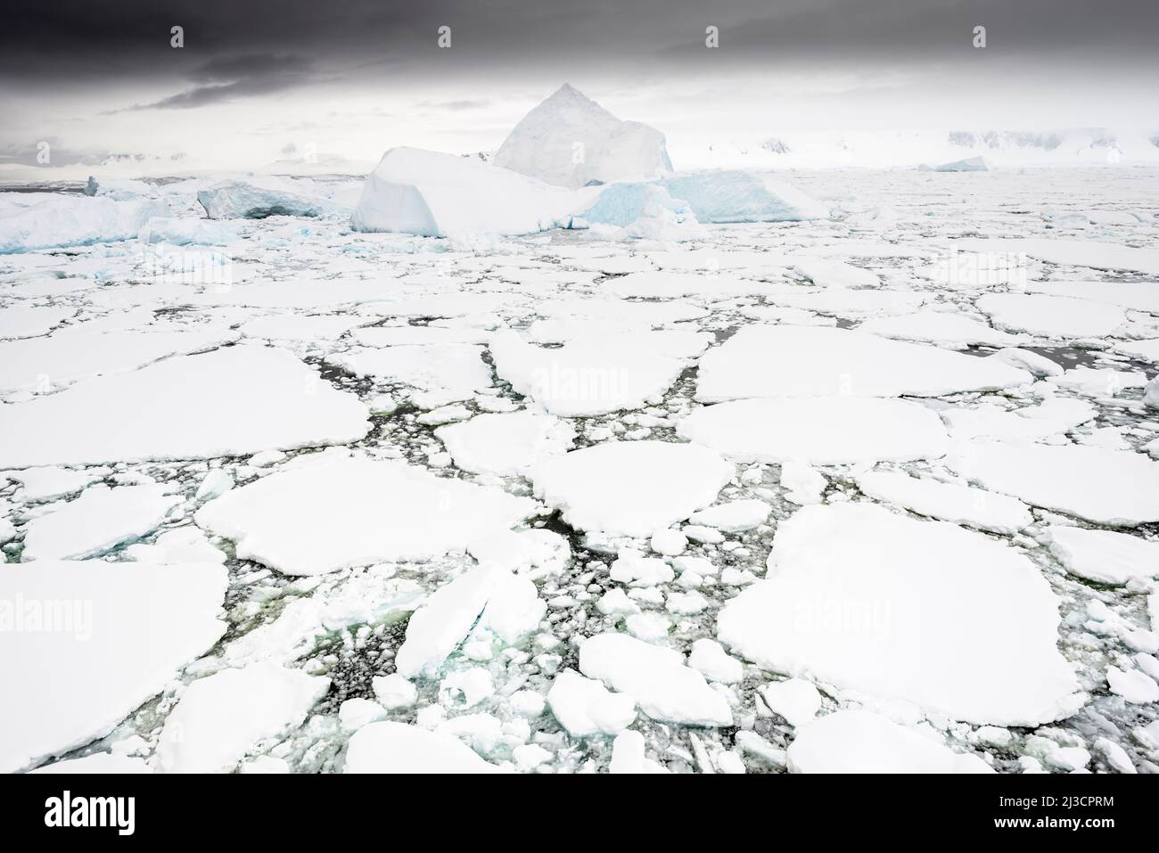 L'ingresso nord di uno stretto canale chiamato il gabbiolo è bloccato da ghiaccio marino e iceberg, fine estate, Antartide Foto Stock