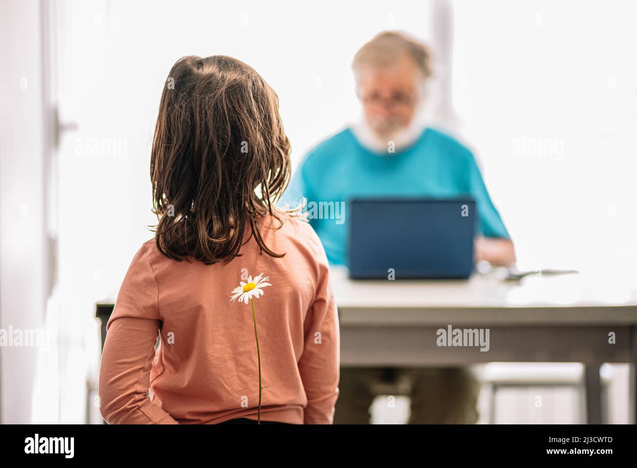 Ragazza irriconoscibile che nasconde camomilla bianca dietro la schiena mentre si alza contro il nonno digitando sul laptop su sfondo sfocato in una stanza luminosa Foto Stock