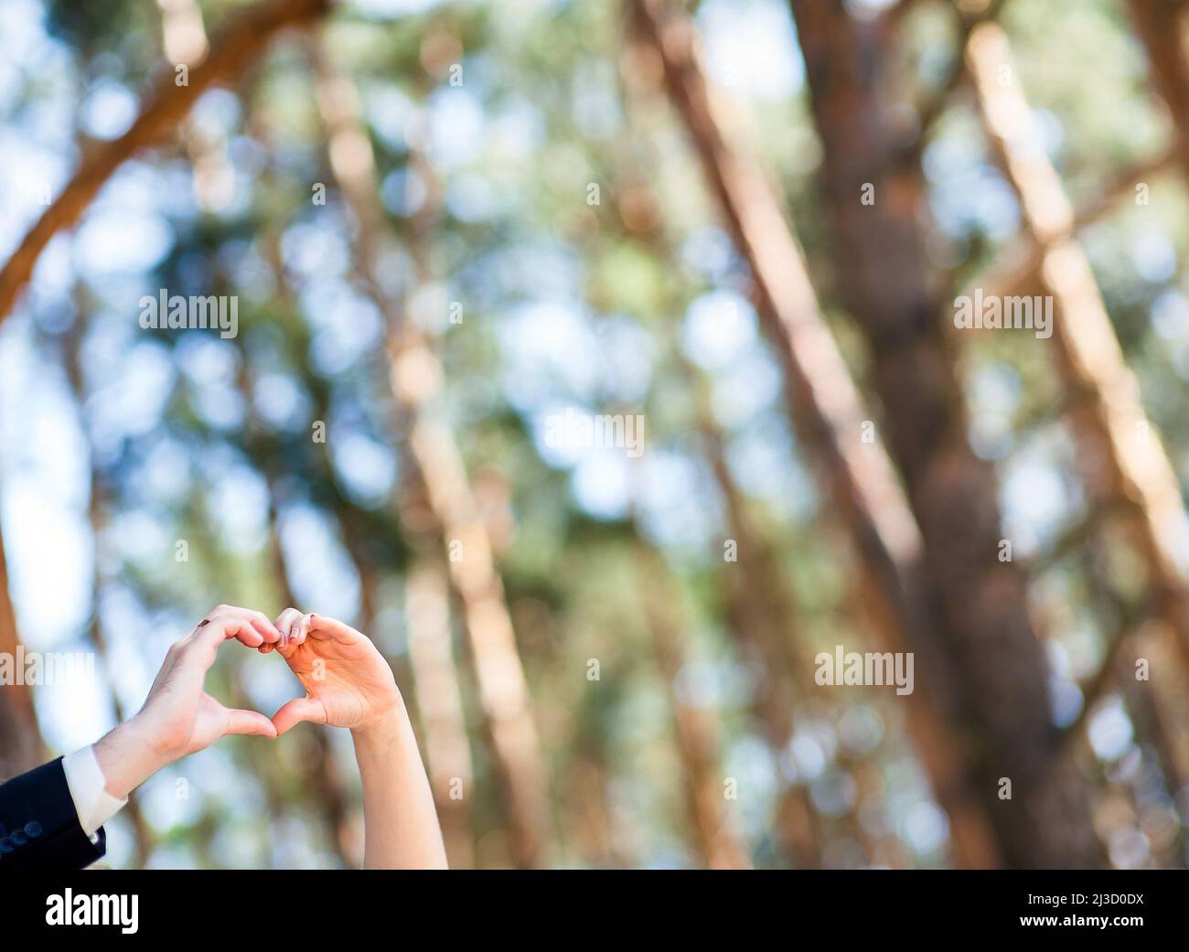 San Valentino o matrimonio concetto. Mani di sposa e sposo che mostrano il gesto del cuore nella pineta. Buon sposi novelli. Foto Stock