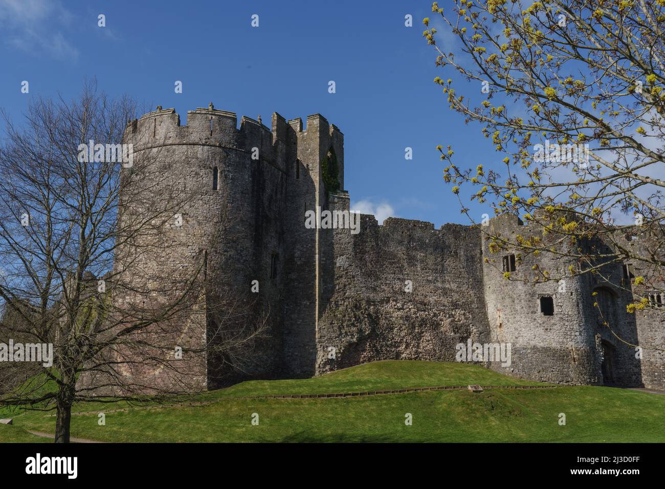 Castello di Chepstow che illustra le sue torri, torrette, fortificazioni e spazi abitativi. Mostra: Torre di St Martens. Foto Stock
