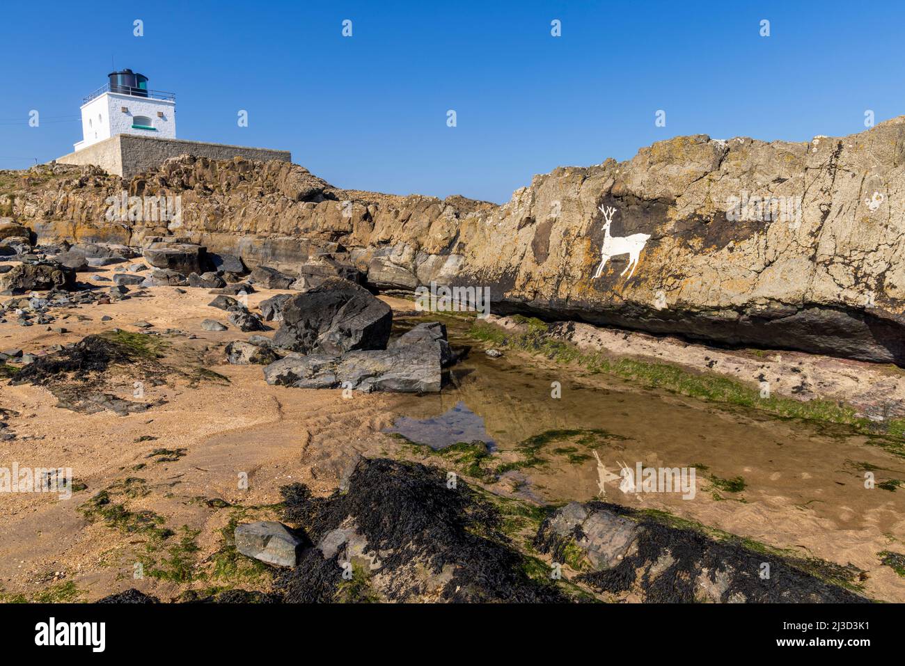 Stag Rock e Harkess Lighthouse a Bambburgh Beach, Northumberland, Inghilterra Foto Stock