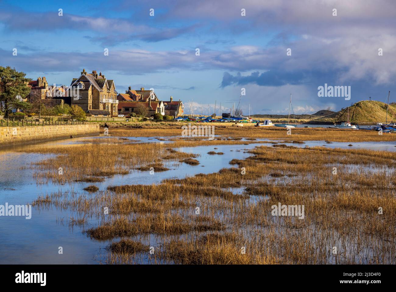 Estuario di Alnmouth dal Sentiero della costa del Northumberland in primavera, Inghilterra Foto Stock