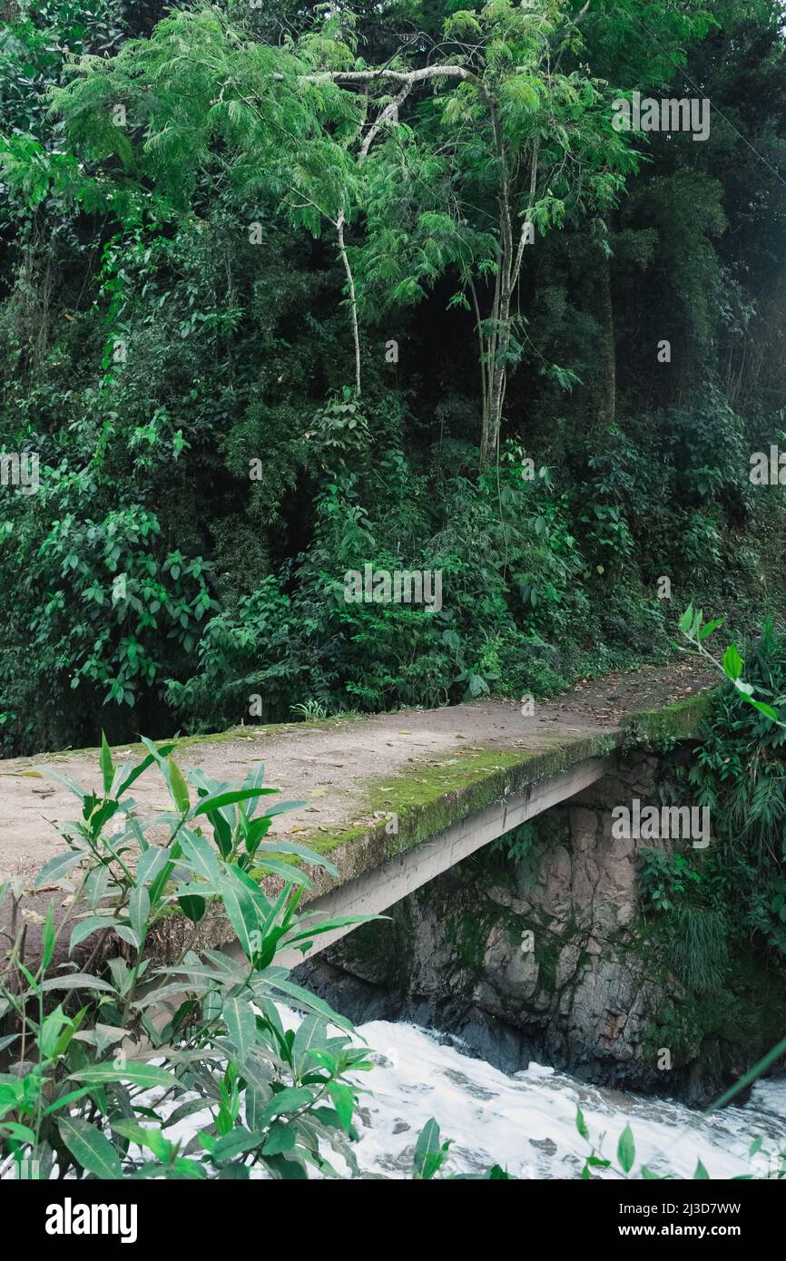 ponte di cemento senza ringhiere coperto di muschio verde, attraversando un fiume inquinato nel mezzo della giungla colombiana. abbandonato attraversamento umano in t Foto Stock